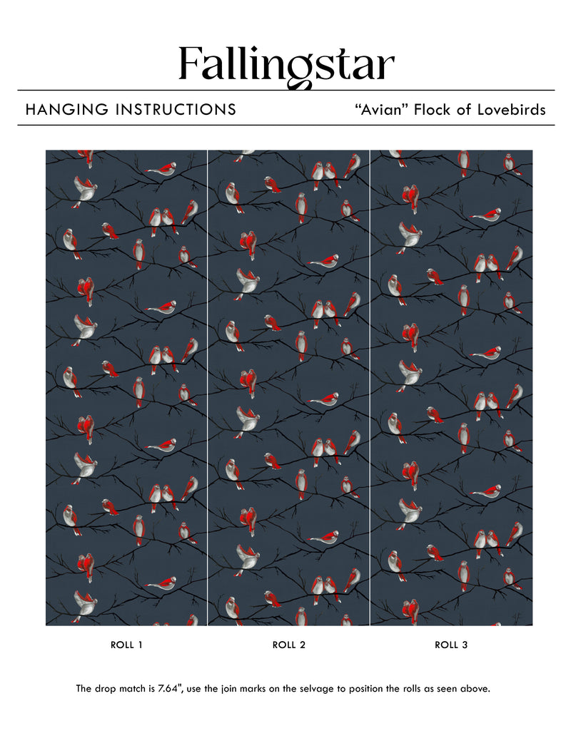 Avian | Flock of Lovebirds