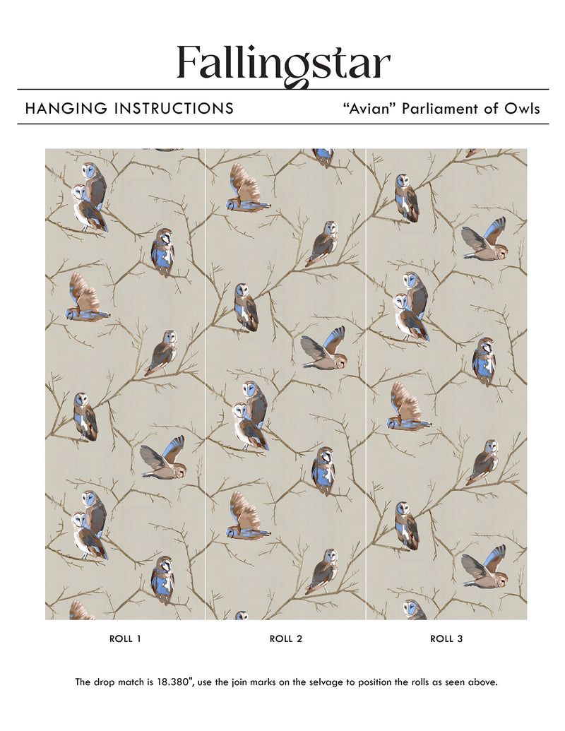 Avian | Parliament of Owls