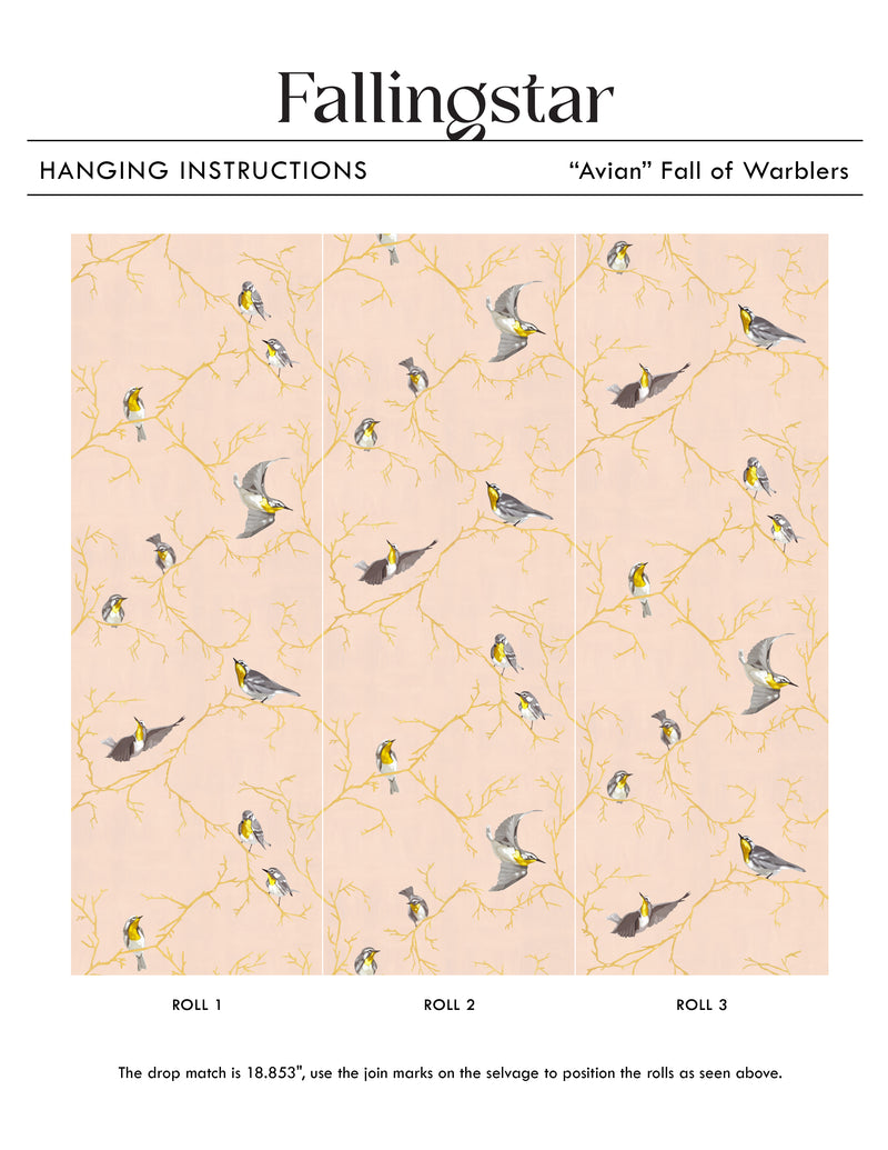 Avian | Fall of Warblers (sample)