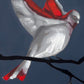 Flock of Lovebirds No. 2