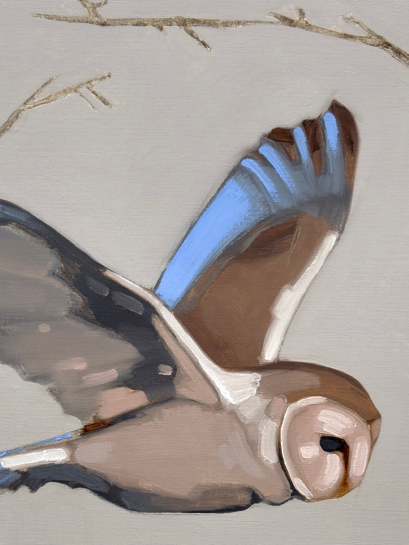 Parliament of Owls No. 4