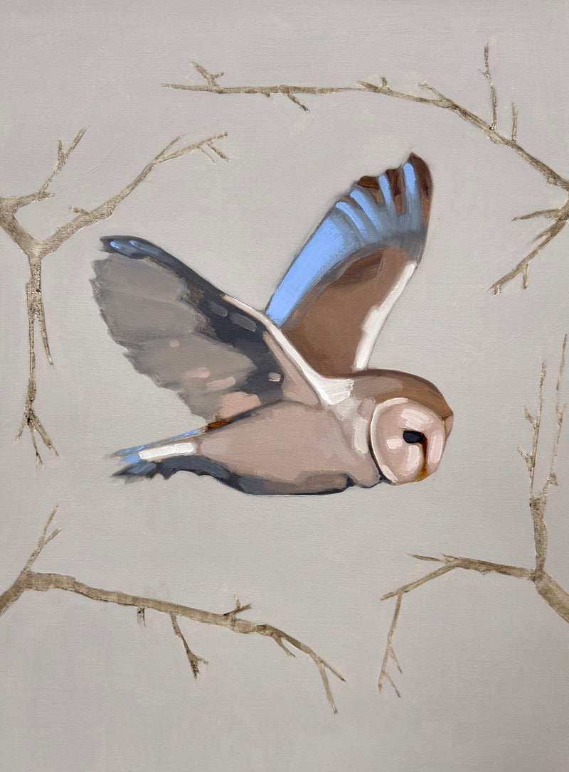 Parliament of Owls No. 4