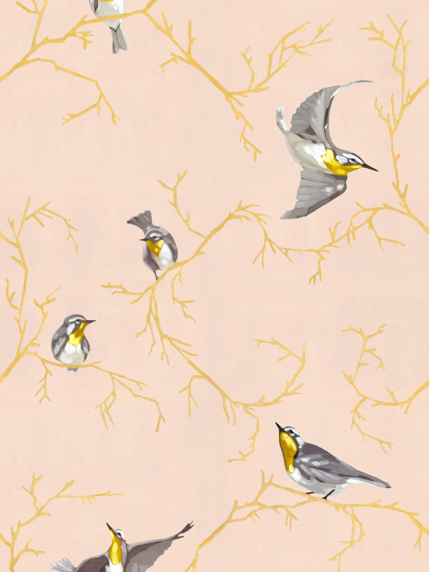 Avian | Fall of Warblers