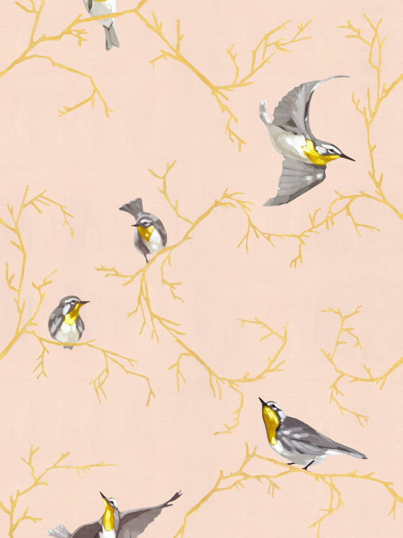 Avian | Fall of Warblers