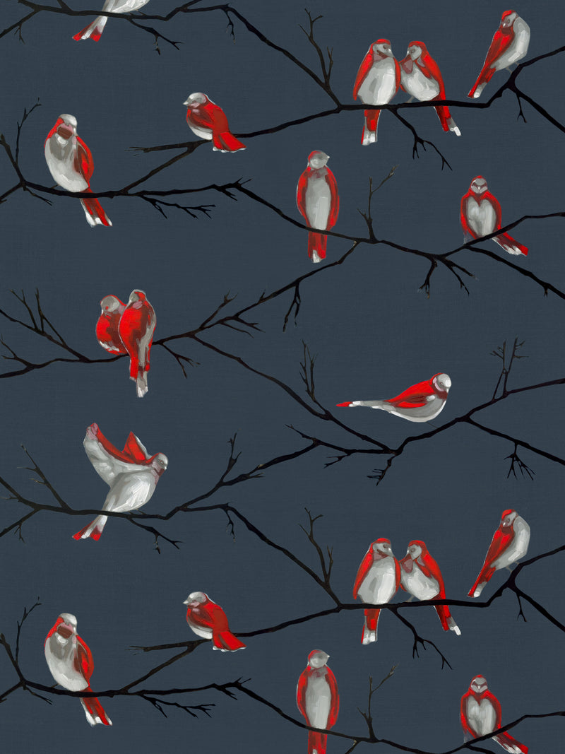 Avian | Flock of Lovebirds