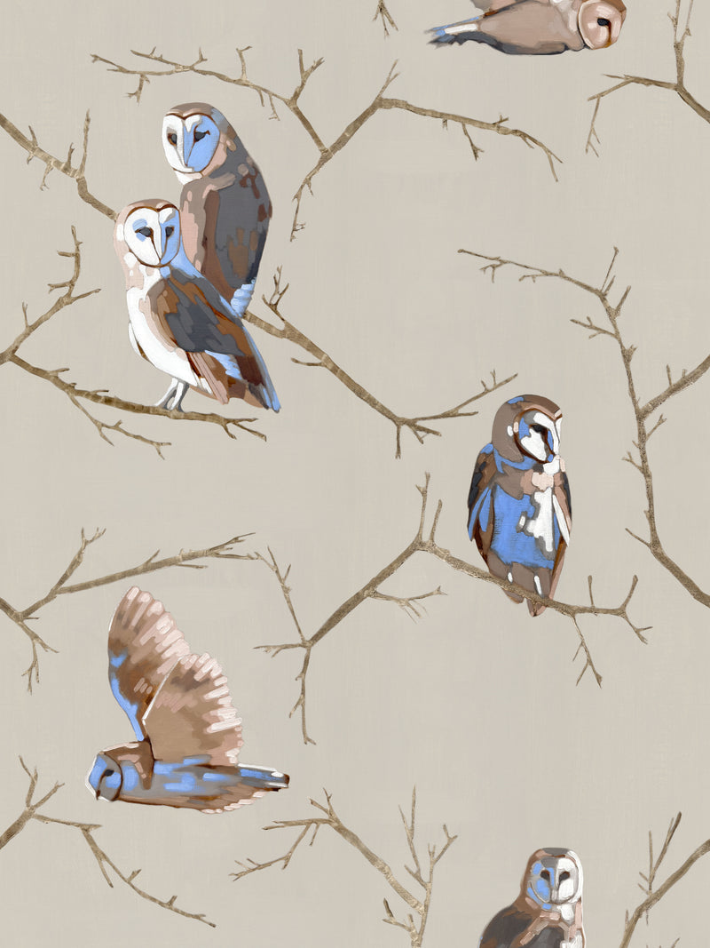 Avian | Parliament of Owls