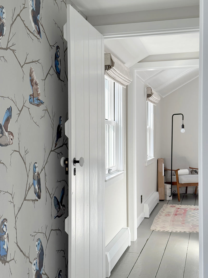 Avian | Parliament of Owls