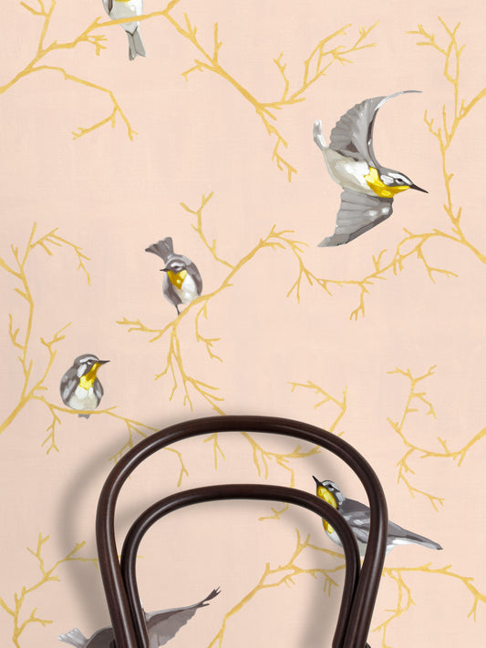 Avian | Fall of Warblers