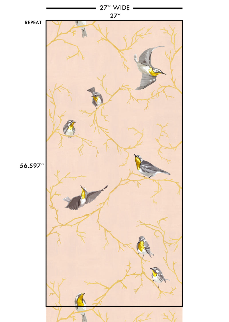 Avian | Fall of Warblers