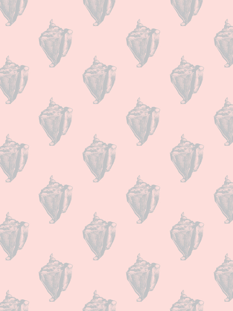 Conch | Bermuda (sample)