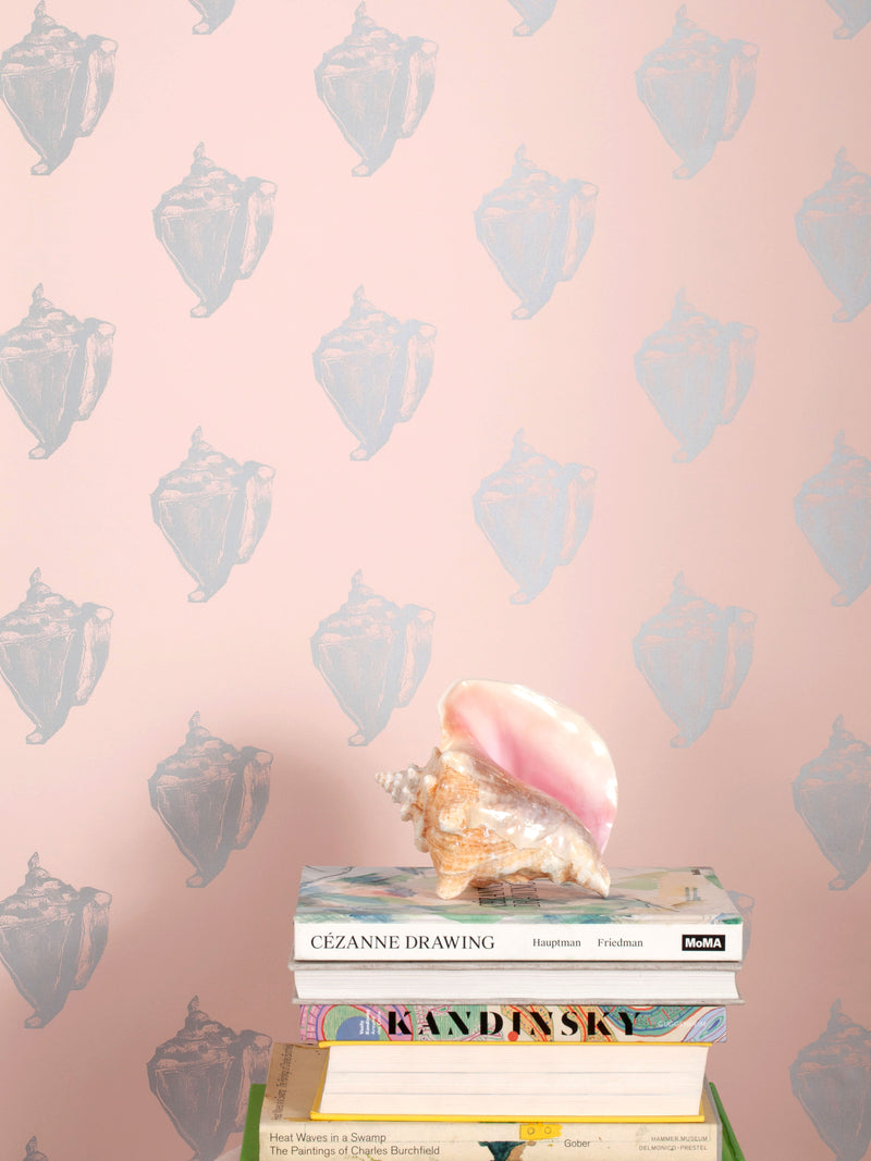 Conch | Bermuda (sample)