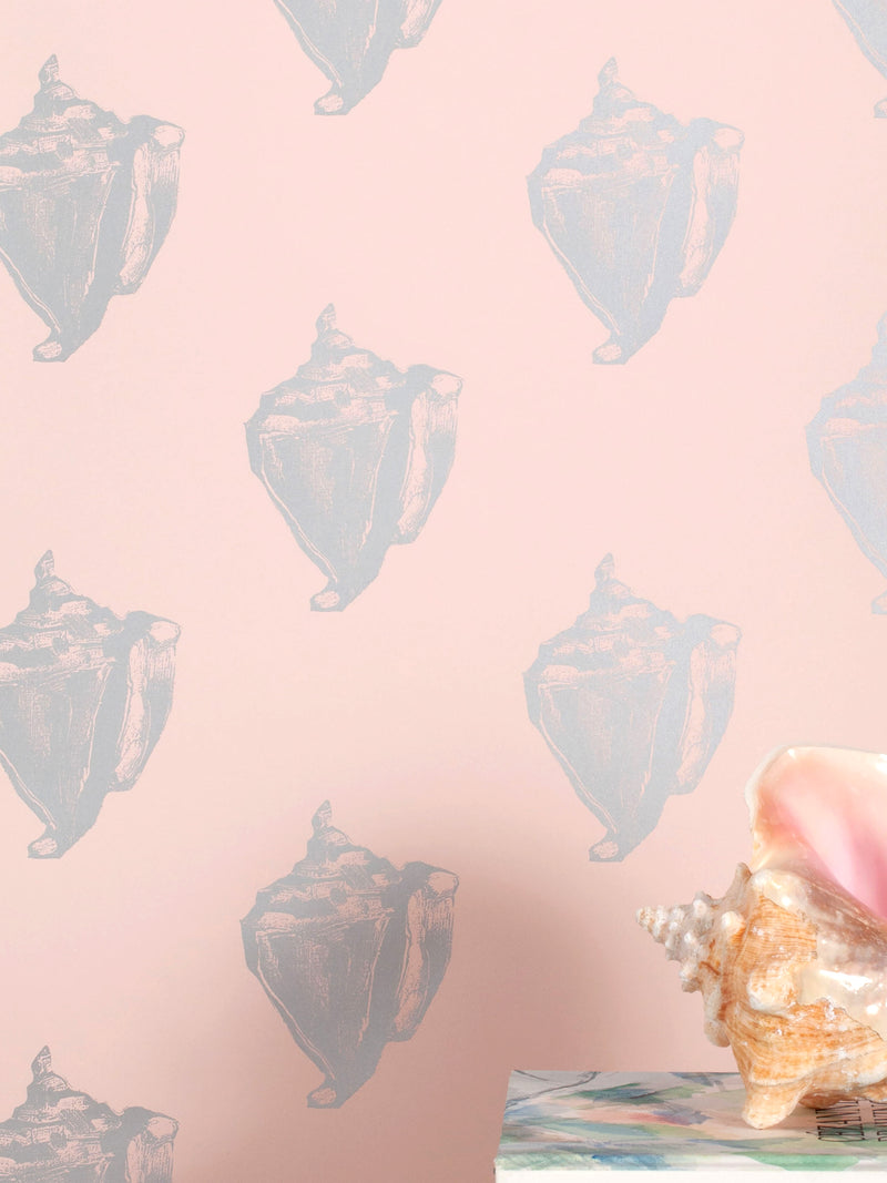 Conch | Bermuda (sample)