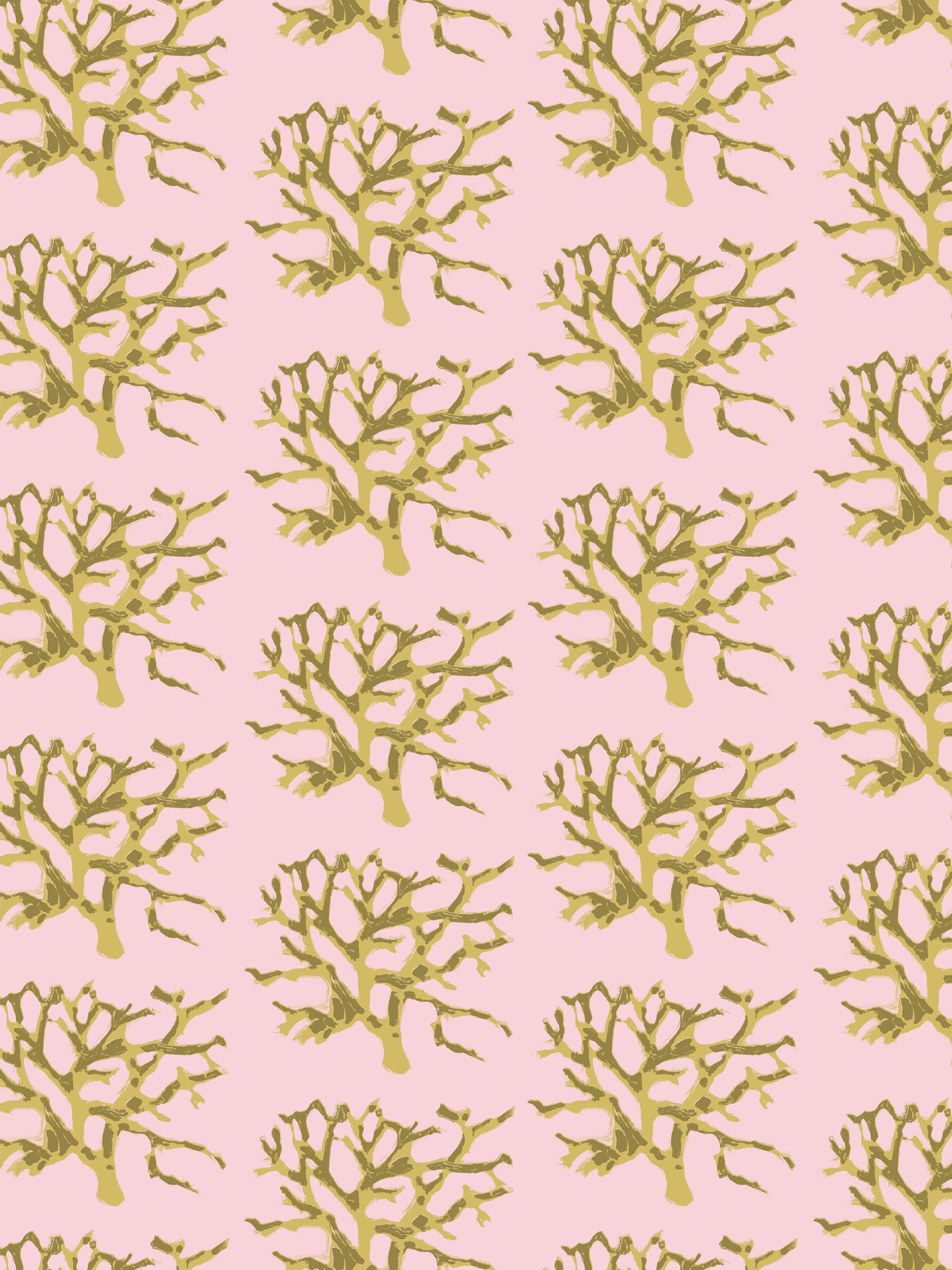 Coral | Fiji