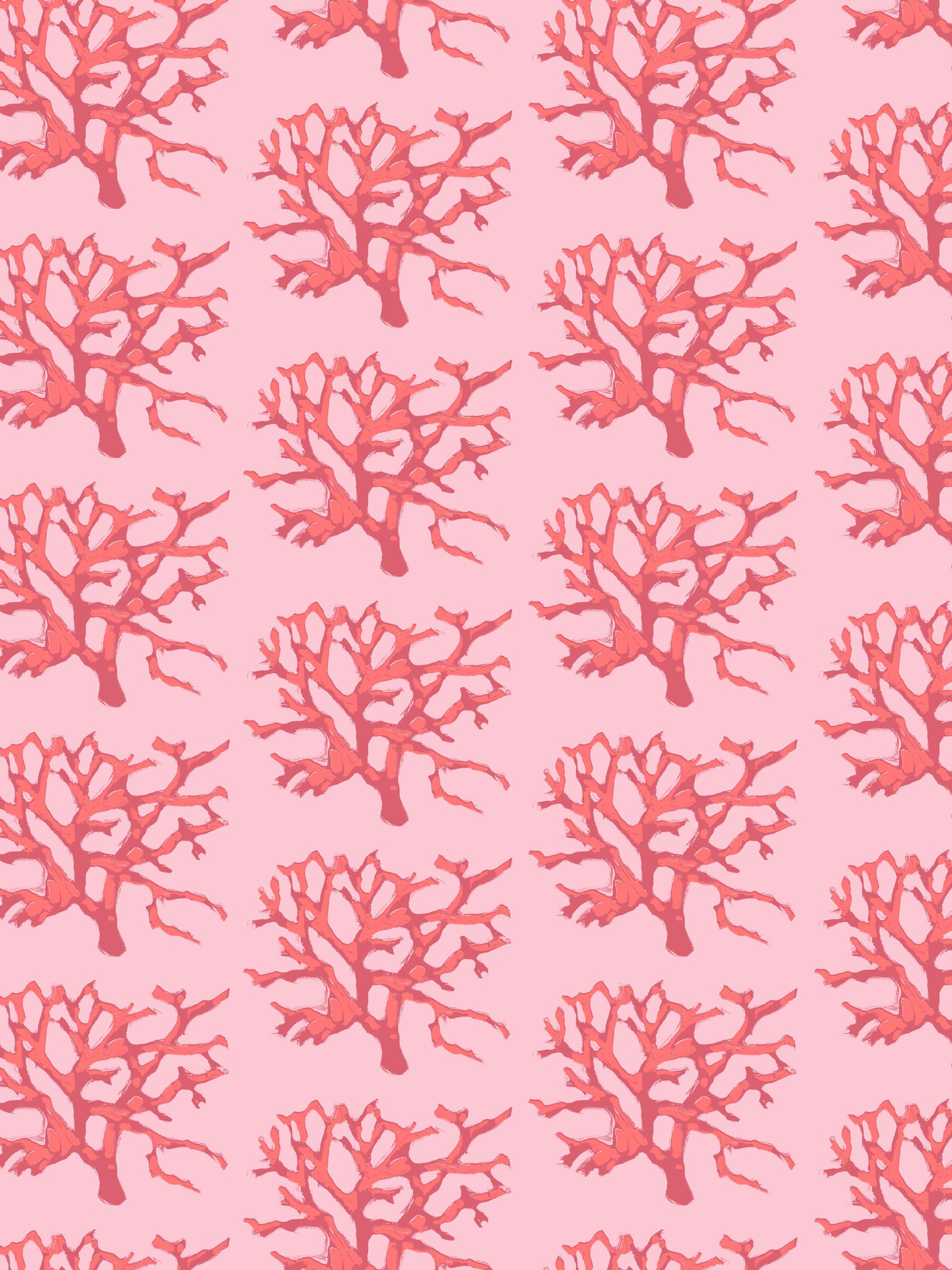 Coral | Indonesia