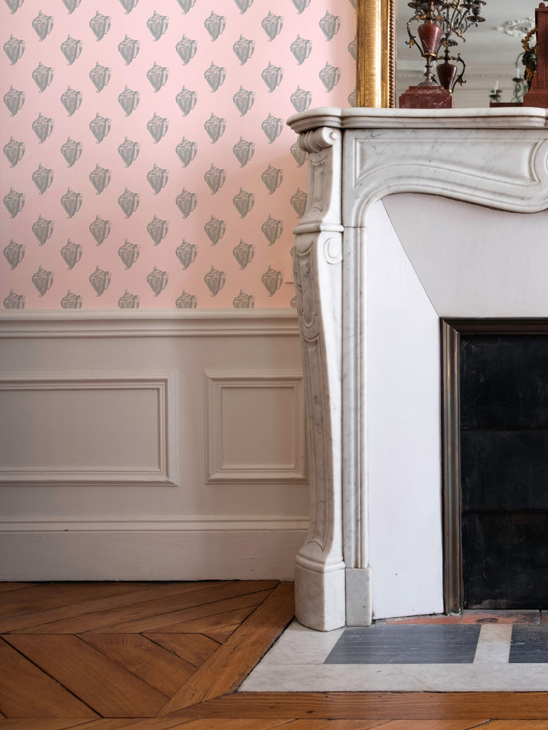 Conch | Bermuda (sample)